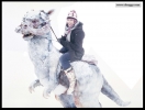 tauntaun2