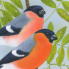 bullfinches