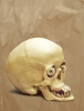 dwarfskull