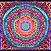 175708_10152183085125696_721381663_o